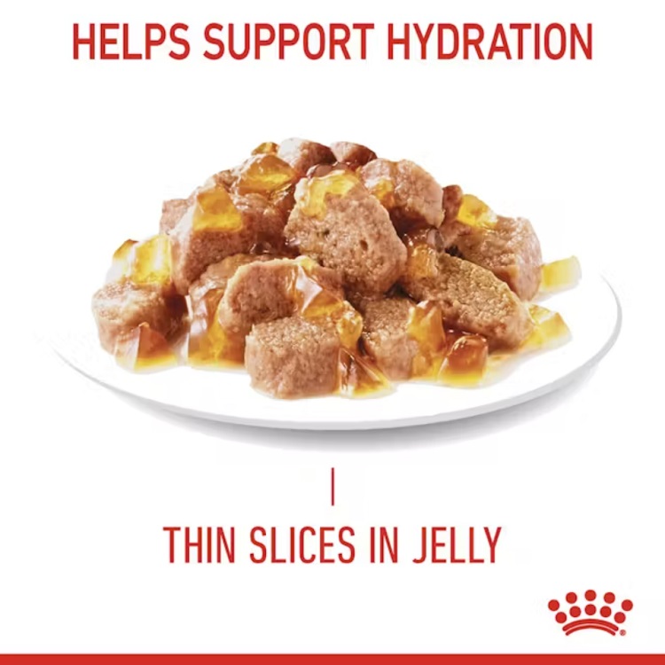 Royal Canin FCN Urinary Care in Jelly 85 gr.
